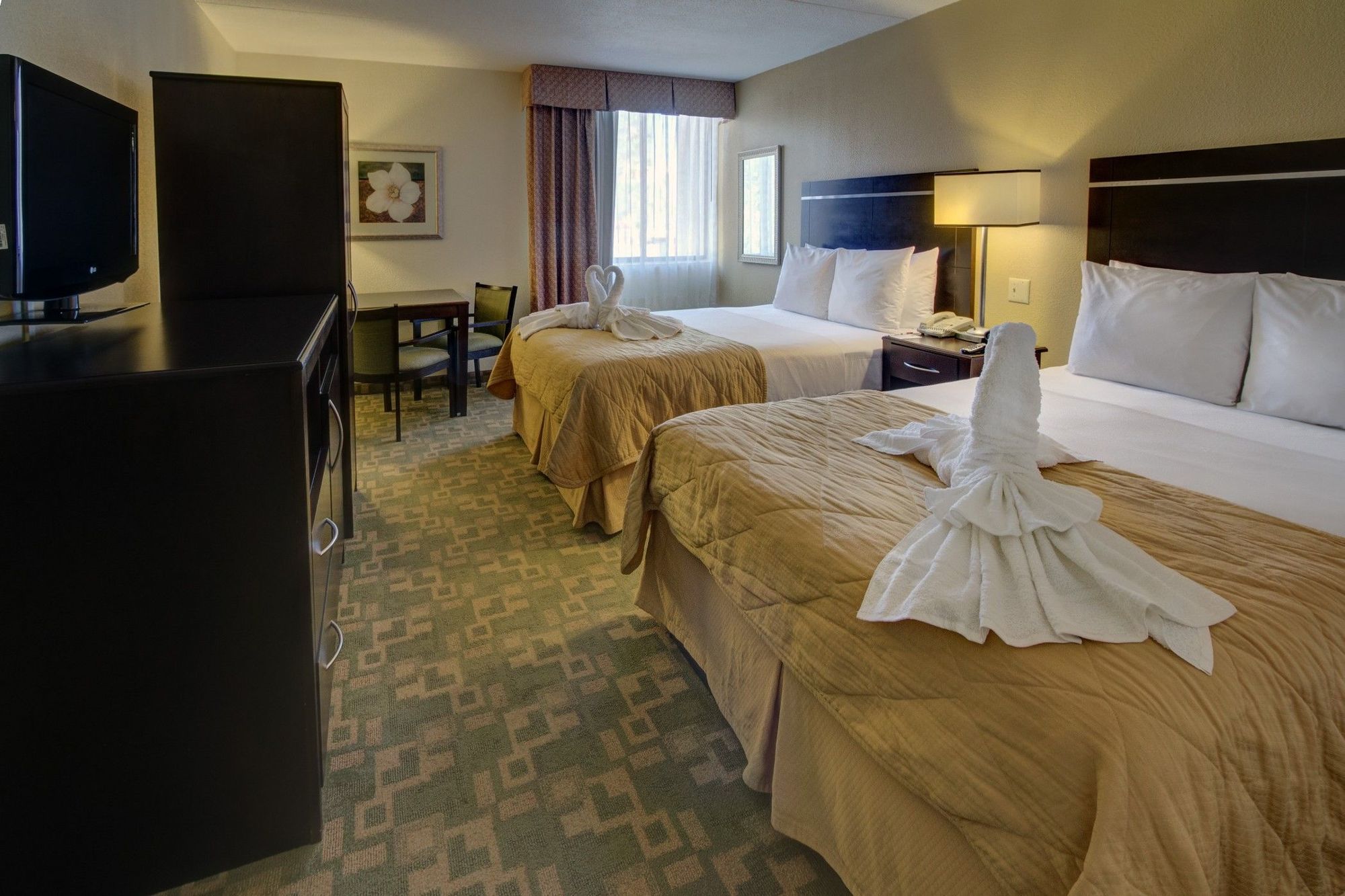 Clarion Inn & Suites At International Drive Williamsburg Стая снимка